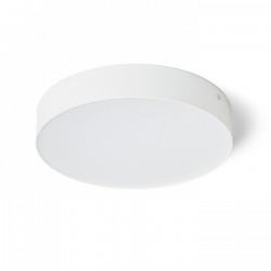 Stropna svetilka Larisa R30 3CCT