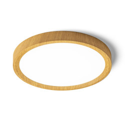 Stropna LED svetilka LANA 23-40-60