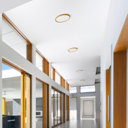 Stropna LED svetilka LANA 23-40-60
