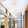 Stropna LED svetilka LANA 23-40-60