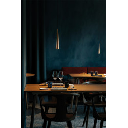 Tračna svetilka CORVINA EVO 1F/3F