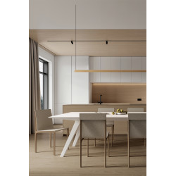 Viseča svetilka DAISHO PRO DAS205